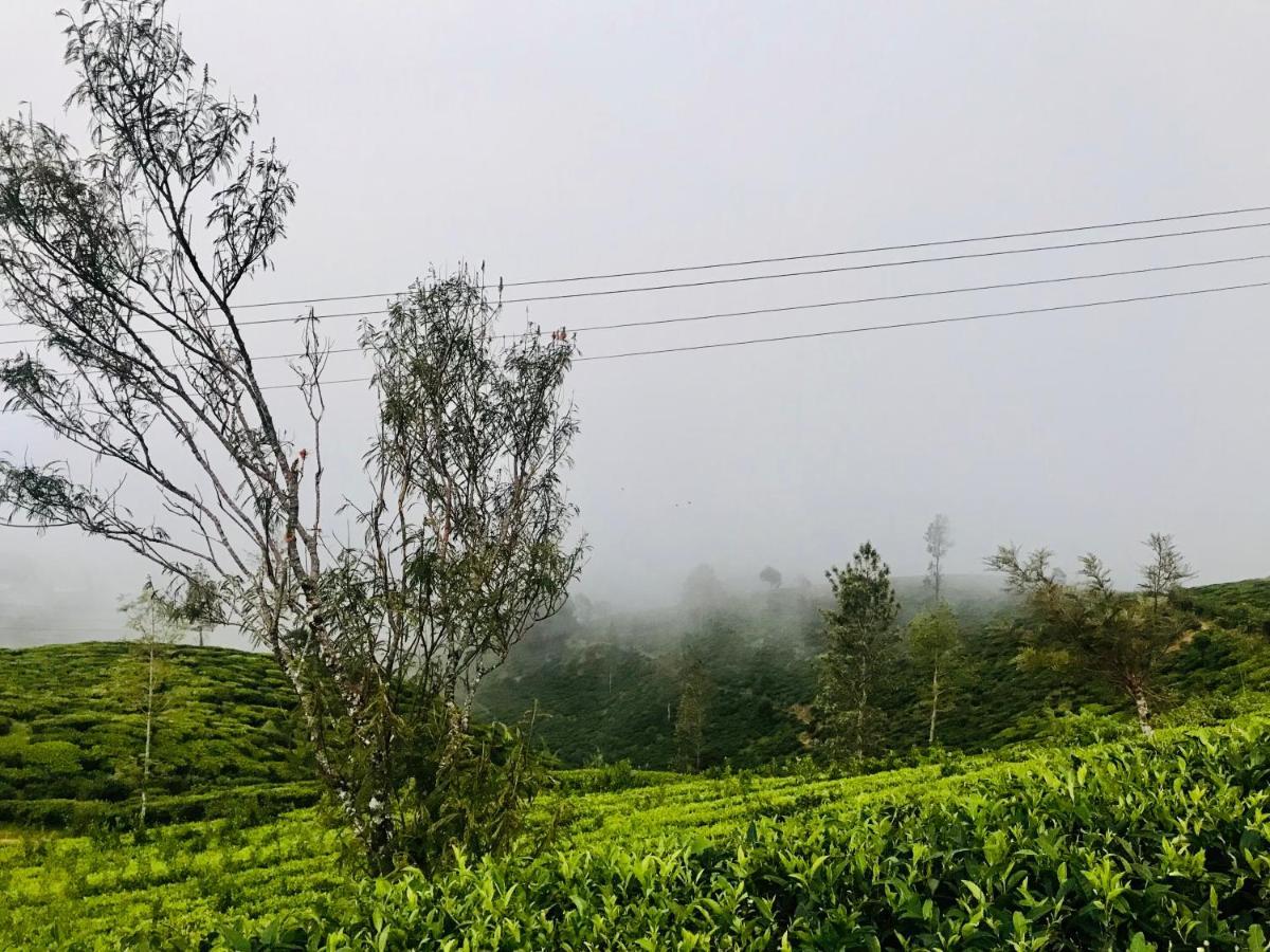 Queensland Hotel Nuwara Eliya Ngoại thất bức ảnh