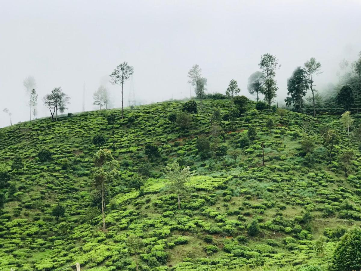 Queensland Hotel Nuwara Eliya Ngoại thất bức ảnh